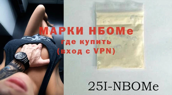 дживик Краснослободск