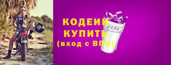 дживик Краснослободск