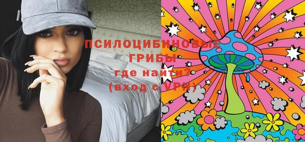 дживик Краснослободск