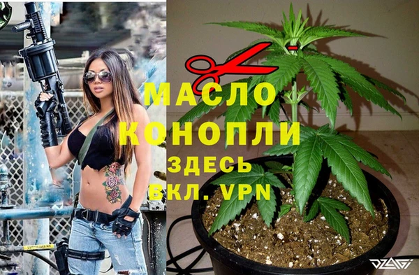 дживик Краснослободск