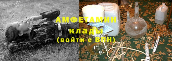 дживик Краснослободск