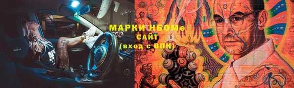 дживик Краснослободск