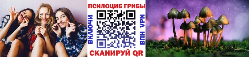 Купить  Урюпинск  Галлюциногенные грибы Cubensis 
